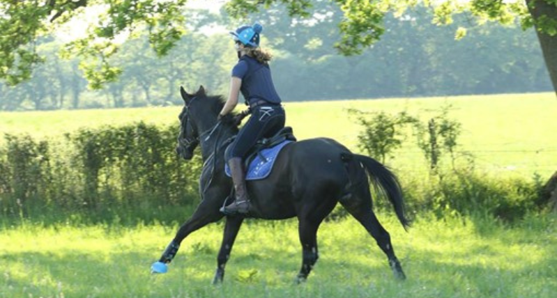 Rein and Shine Summer Camps